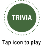 Trvia open